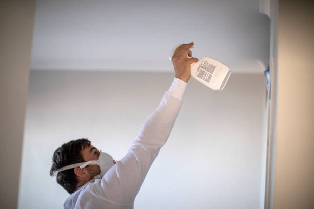 Best Post-Flood Mold Remediation in Lexington, VA