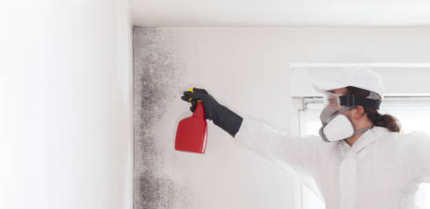 Lexington, VA Mold Remediation Company