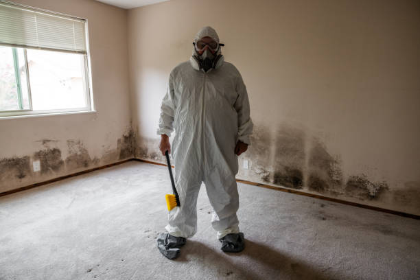 Best Mold Testing and Inspection Services in Lexington, VA